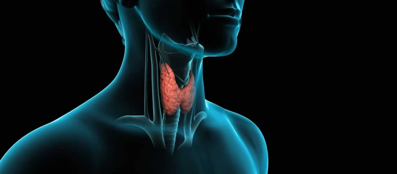 Θυρεοειδίτιδα Χασιμότο: Αυτές είναι τροφές & τα συμπληρώματα διατροφής που πρέπει να καταναλώνετε